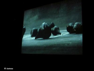 20070309141151-proyeccion4-a.jpg