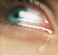 20070628015742-images.jpg
